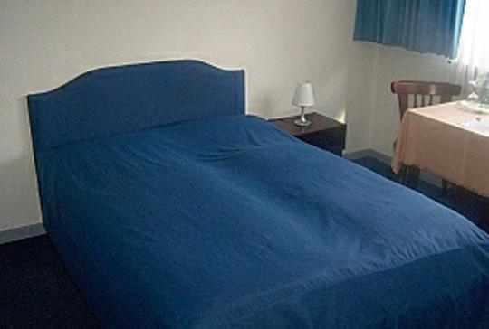 טרייר Hotel Am Ufer חדר תמונה
